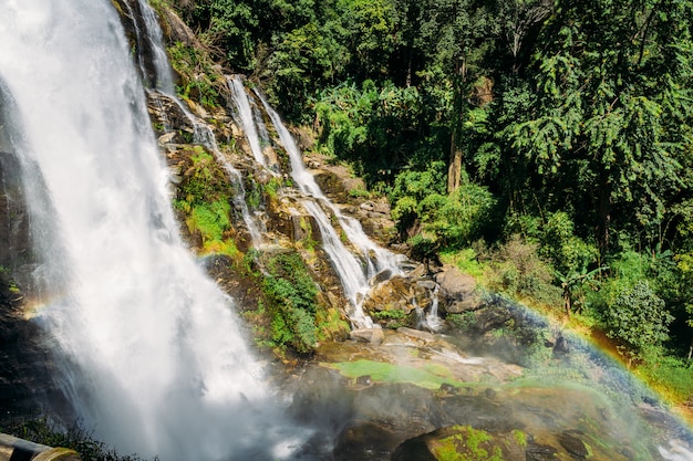 Water dat op de rotsen van een waterval in het midden van de jungle valt