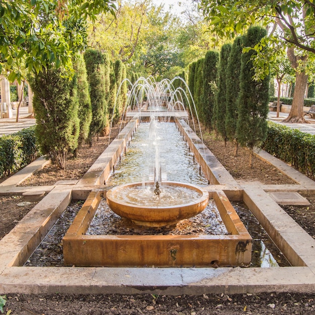 Foto water dat uit een fontein tussen de bomen in het park stroomt