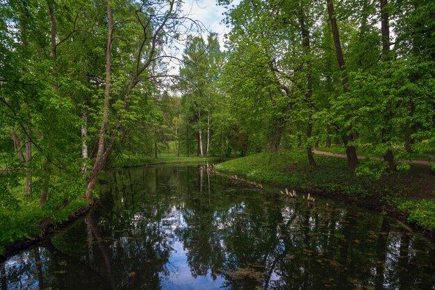 Water doolhof kanaal in de buurt van het Witte Meer in Gatchina Park op een zonnige herfstochtend Gatchina Sint-Petersburg, Rusland