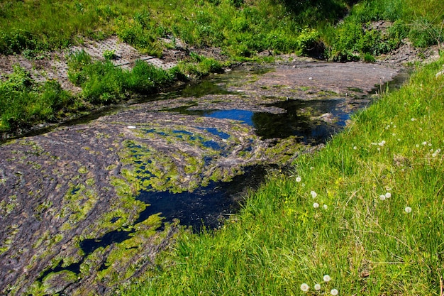 운하 의 물 배수, 물 표면 의 녹색 해조류, 환경 오염