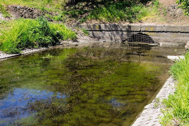 Отвод воды в канале Зеленые водоросли на поверхности воды Загрязнение окружающей среды