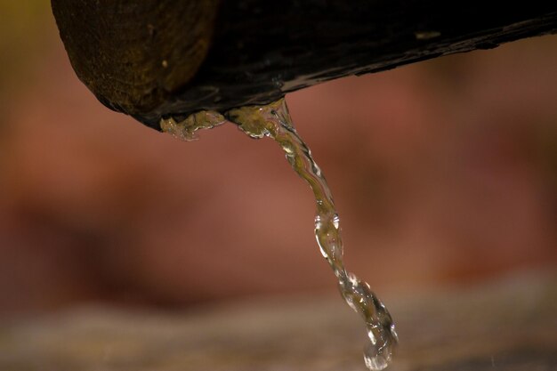 Foto acqua che gocciola sul tronco di legno