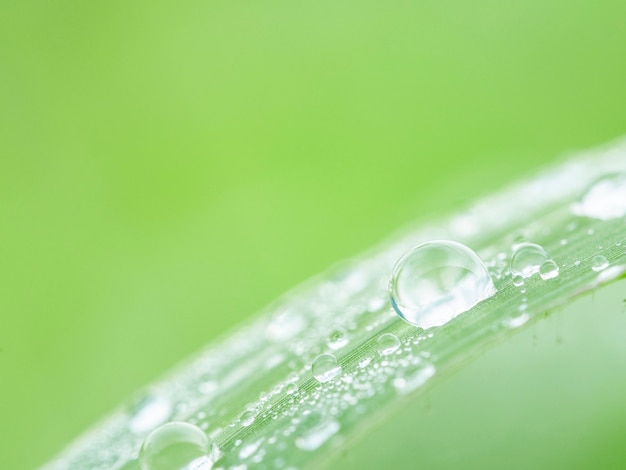 Photo water drop on grass