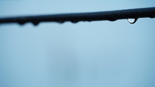 Water drop on a rope image