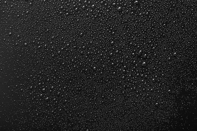 写真 黒い表面の水滴
