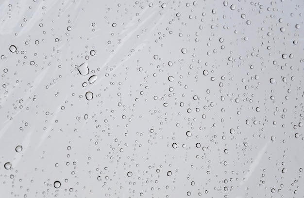 Water droplets on transparent umbrella