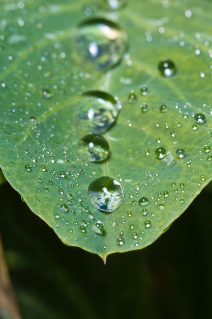 Water droplets