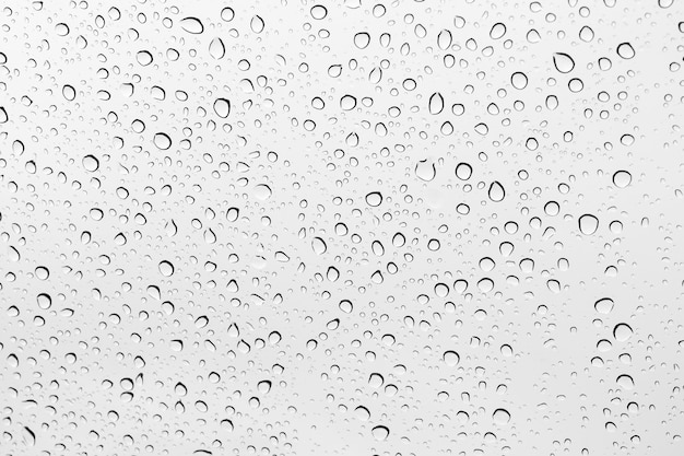 Photo water drops background