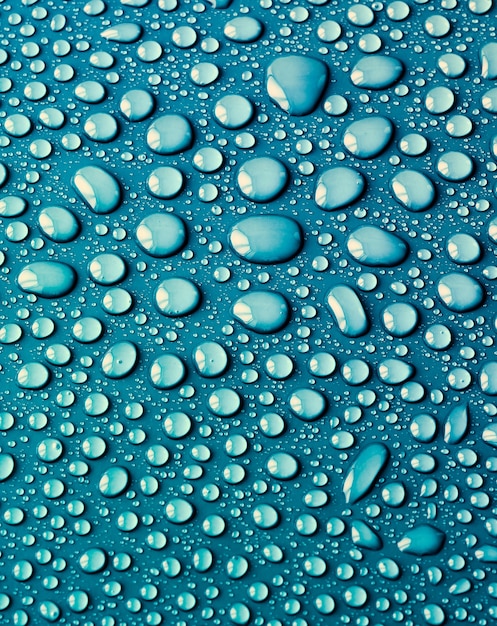 Water drops on blue.