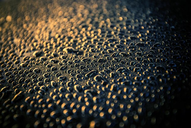 Water Drops on Car Body