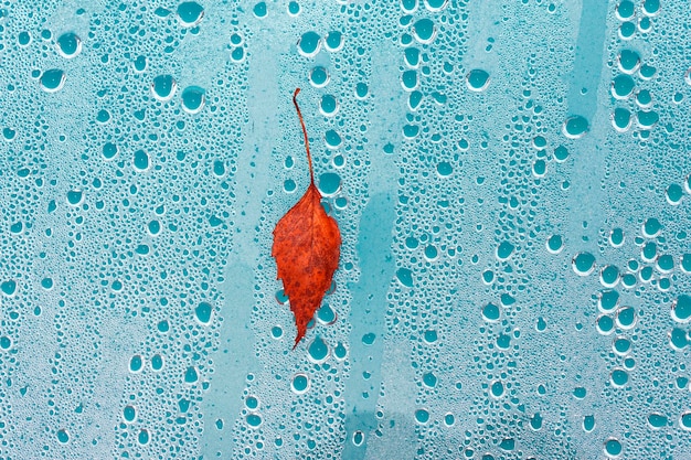 Water drops Condensed water in the form of hanging drops on the cover of an outdoor pool with a stuck fallen leaf Photographed from above