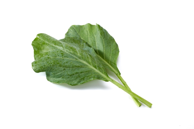 Water drops on fresh Chinese kale vegetable on white background