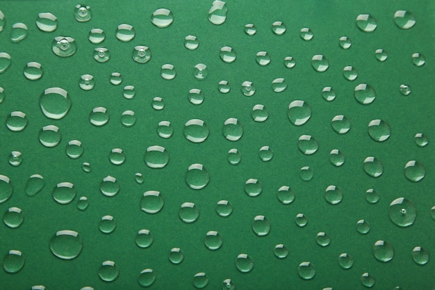 Water drops on green background Space for text