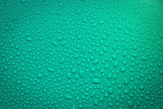 Water Drops On Green Background