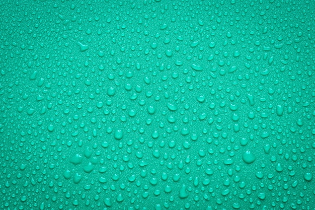 Water Drops On Green Background