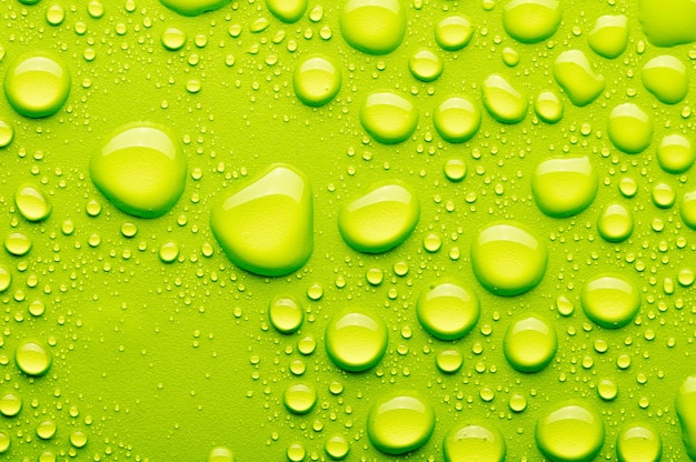 Water drops on a green background