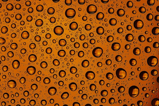 Water drops on red  background