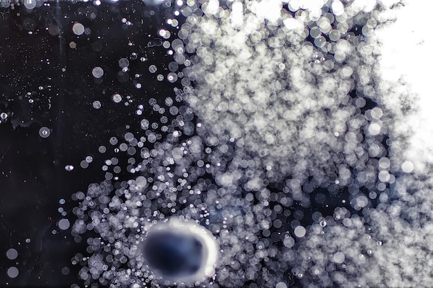 Water drops on ripe sweet blueberry. Fresh blueberries background with copy space for your text. Vegan and vegetarian concept. Macro texture of blueberry berries.