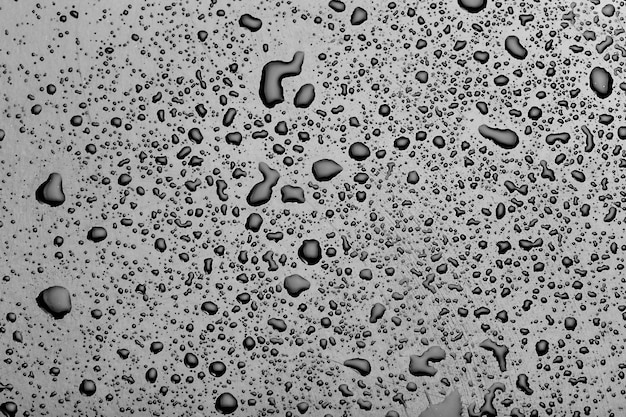 Water drops splash on the black floor