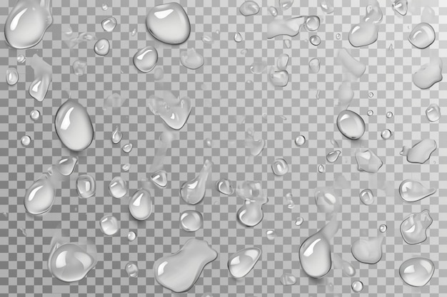 Water drops on transparent background