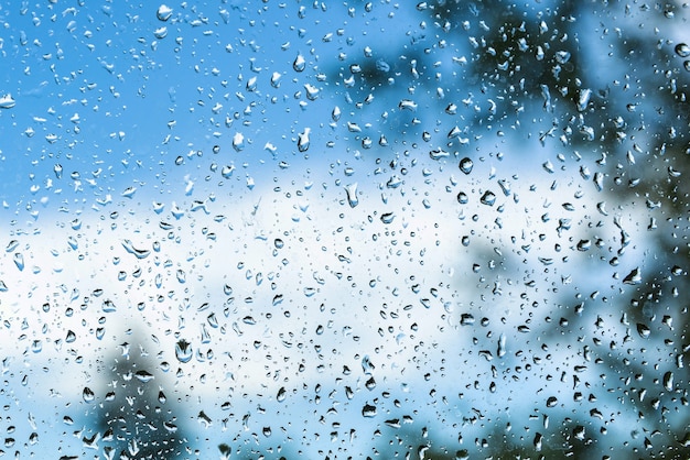 Water drops on the window