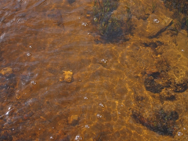 Water en stenen in een kleine rivier op een zonnige ochtend Moskou regio Rusland