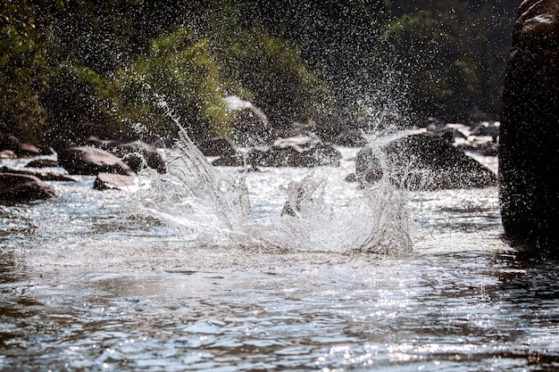 Foto water enorme spatten in de vijver van mensen in water vallen