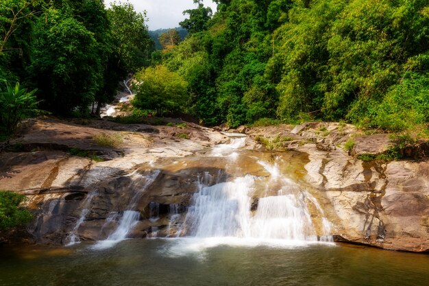 Water fall in forest with green tree landscape