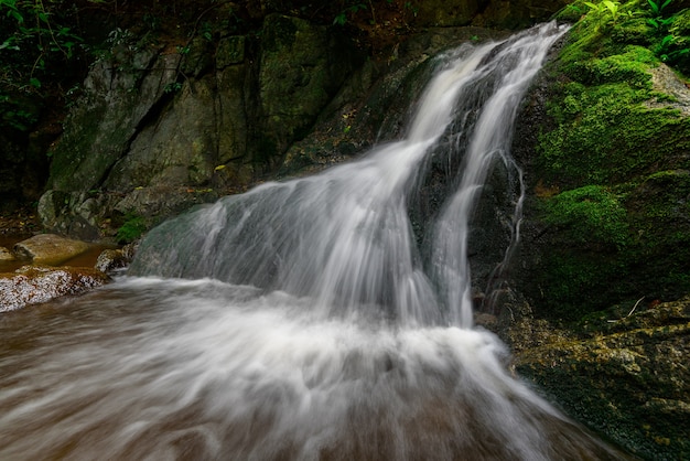 Foto l'acqua cade nella foresta con la luce del sole