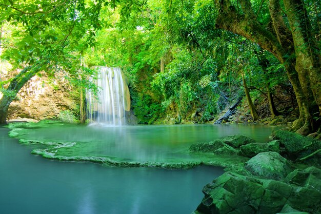 water fall in green forest