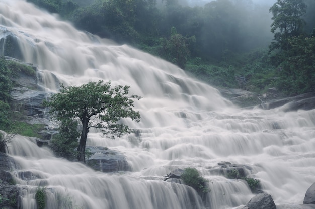 滝の自然な背景