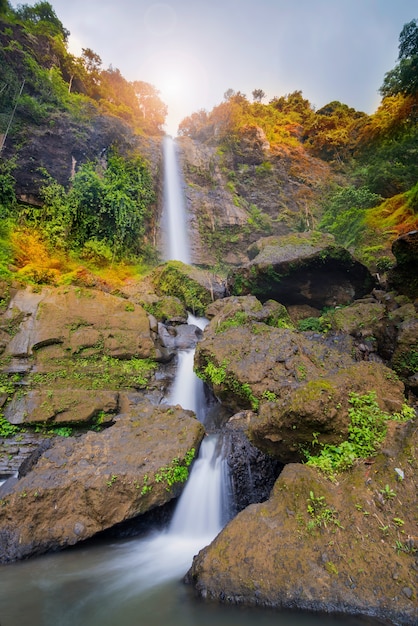 Water fall in tropical  forest  indonesia