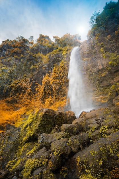 Water fall in tropical  forest  indonesia