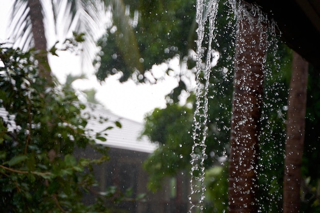 Photo water falls from the roof breaking the drain during a heavy tropical downpour