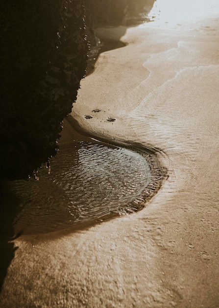 모래 도랑에 채워진 물