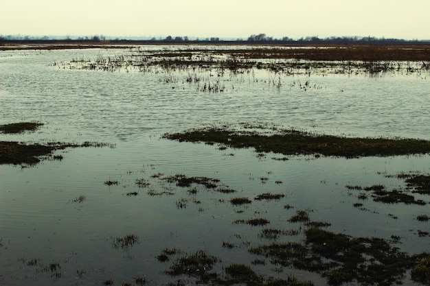 Water flooded territory