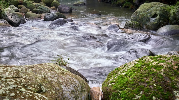 Foto flusso d'acqua in un fiume rurale con acqua pulita