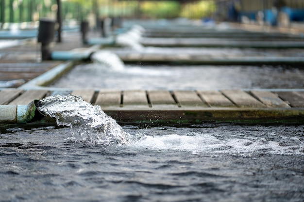 写真 水ポンプパイプからの水流処理システム。水はチューブpvcによって排水されました。産業廃水処理。