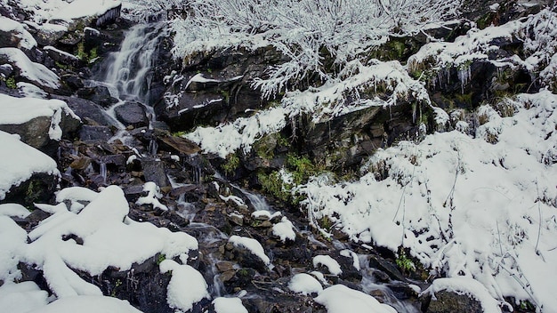 Water flowing from the source made from wood in mountainous forest in Carpathian mountains Ukraine