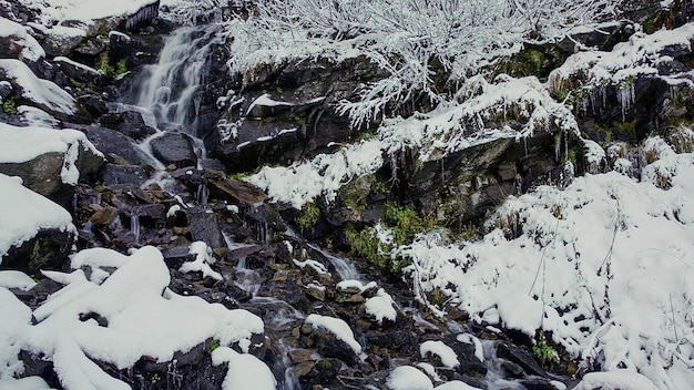 Water flowing from the source made from wood in mountainous forest in Carpathian mountains Ukraine