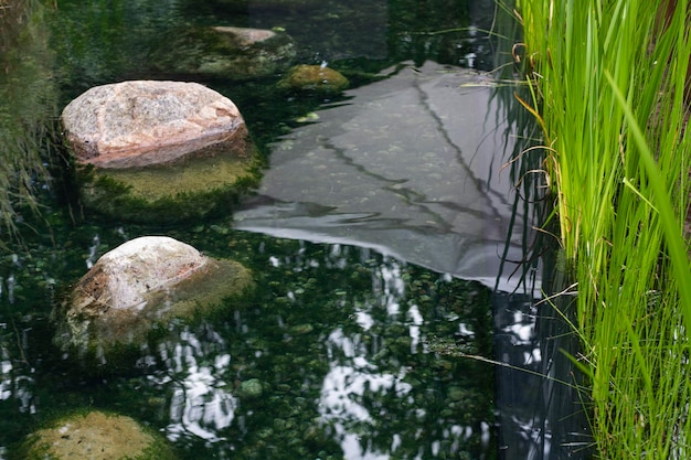 雨の中を流れる水