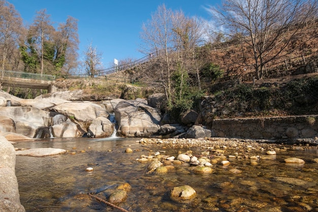 Вода течет по камням в каскаде водопад в лесу