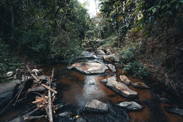 Foto acqua che scorre attraverso le rocce nella foresta