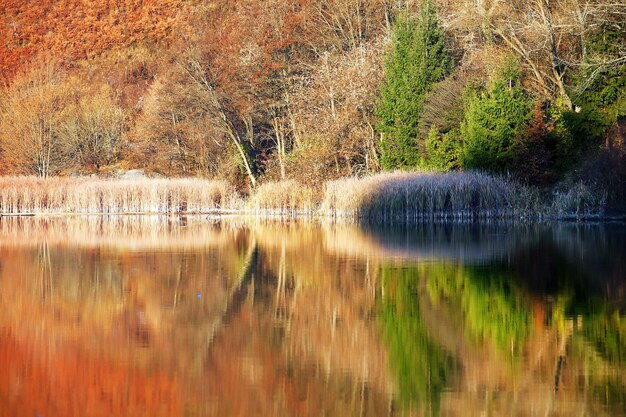 Water flowing through rocks