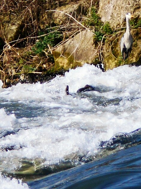 Water flowing through rocks