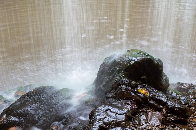 Water flows down from the rock onto the rocks