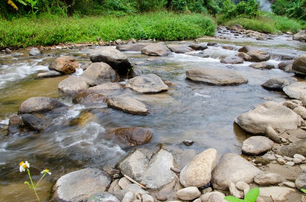 The water flows through the rocks in the national park with blurred pattern background.