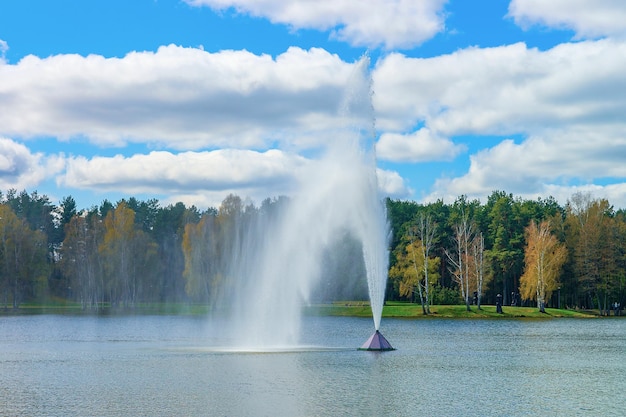 Foto fontana nel lago druskonis e nella natura a druskininkai, lituania