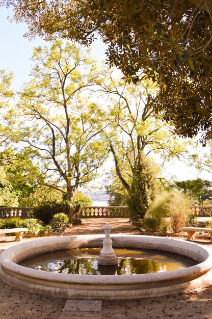 Foto fontana d'acqua in un giardino in una calda giornata di sole