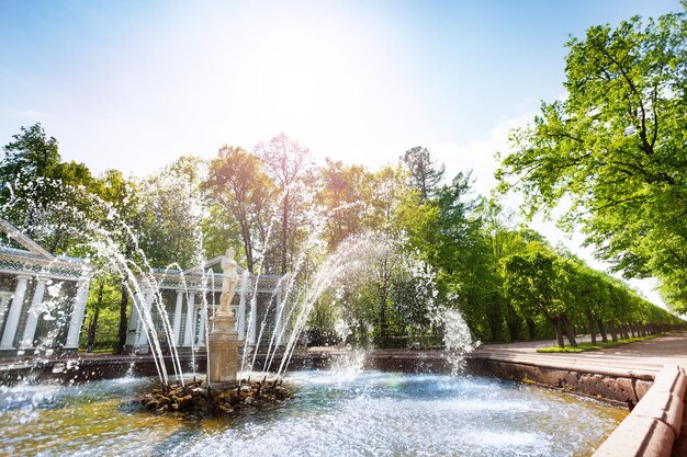 写真 空に向かってプールに水の噴水